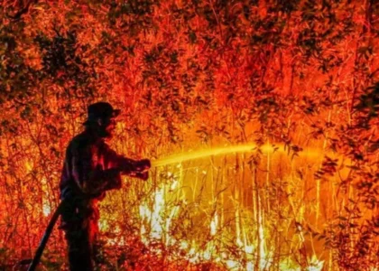 Bencana kebakaran hutan dan lahan