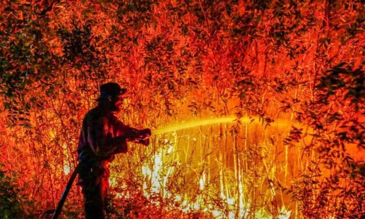 Bencana kebakaran hutan dan lahan